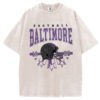 Vintage Baltimore T-Shirt/Sweatshirt