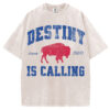 Destiny is Calling T-Shirt/Sweatshirt
