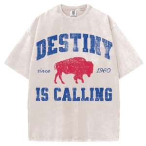 Destiny is Calling T-Shirt/Sweatshirt