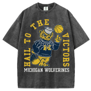 Hail To The Victors Vintage T-Shirt/Sweatshirt